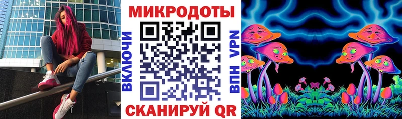 Галлюциногенные грибы Magic Shrooms  где купить наркоту  Зверево 